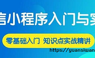 微信小程序入门与实战 常用组件API开发技巧项目实战