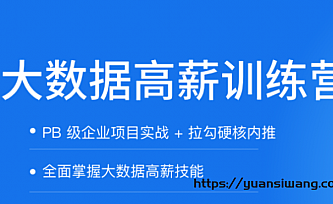 拉钩-大数据开发高薪训练营|2021年|完结版