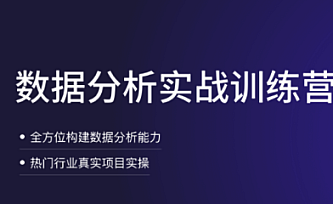 拉钩-数据分析实战训练营|完结版