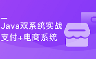 实战支付+电商双系统 玩转Java技术栈