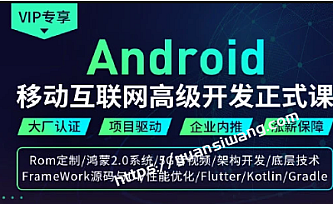 码牛-移动互联网高级开发正式课2期|2021年|完结版