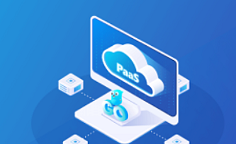 Go开发者的涨薪通道,自主开发PaaS平台核心功能|完结