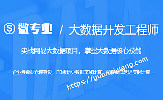 网易云微专业-大数据开发工程师|13章完结无秘