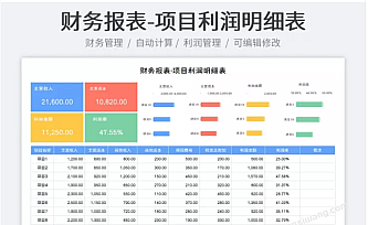 财务报表-项目利润明细表