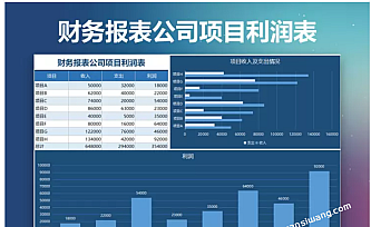 财务报表公司项目利润表