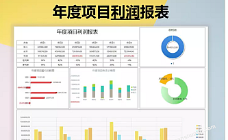 (多图表)年度项目利润报表