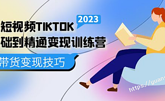 跨境·短视频TIKTOK零基础到精通变现训练营:跨境短视频独立站·带货变现技巧