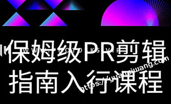 保姆级PR剪辑指南入行课程(23课)