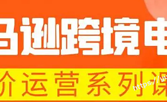亚马逊跨境-电商全阶运营系列课程 每天10分钟,让你快速成为亚马逊运营高手