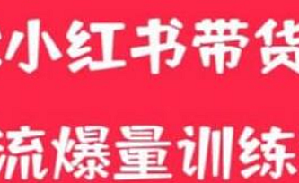 小红书电商爆量训练营,养生花茶实战篇,月入3W+