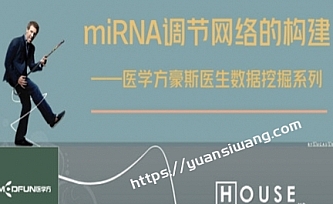 数据挖掘—miRNA调节网络的构建