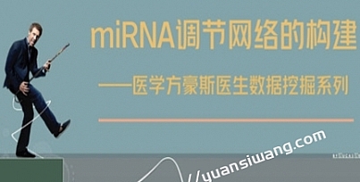 数据挖掘—miRNA调节网络的构建