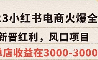 2023小红书电商火爆全网,新晋红利,风口项目,单店收益在3000-30000!