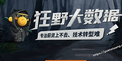 狂野大数据6期视频课