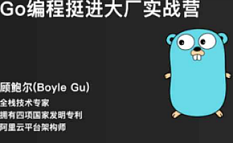 TL-码神之路Go语言挺进大厂实战营