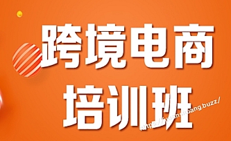 跨境电商VIP实操课程