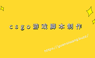 csgo游戏脚本制作